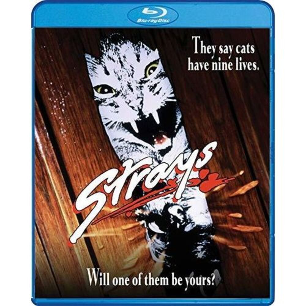 Strays  BLU-RAY